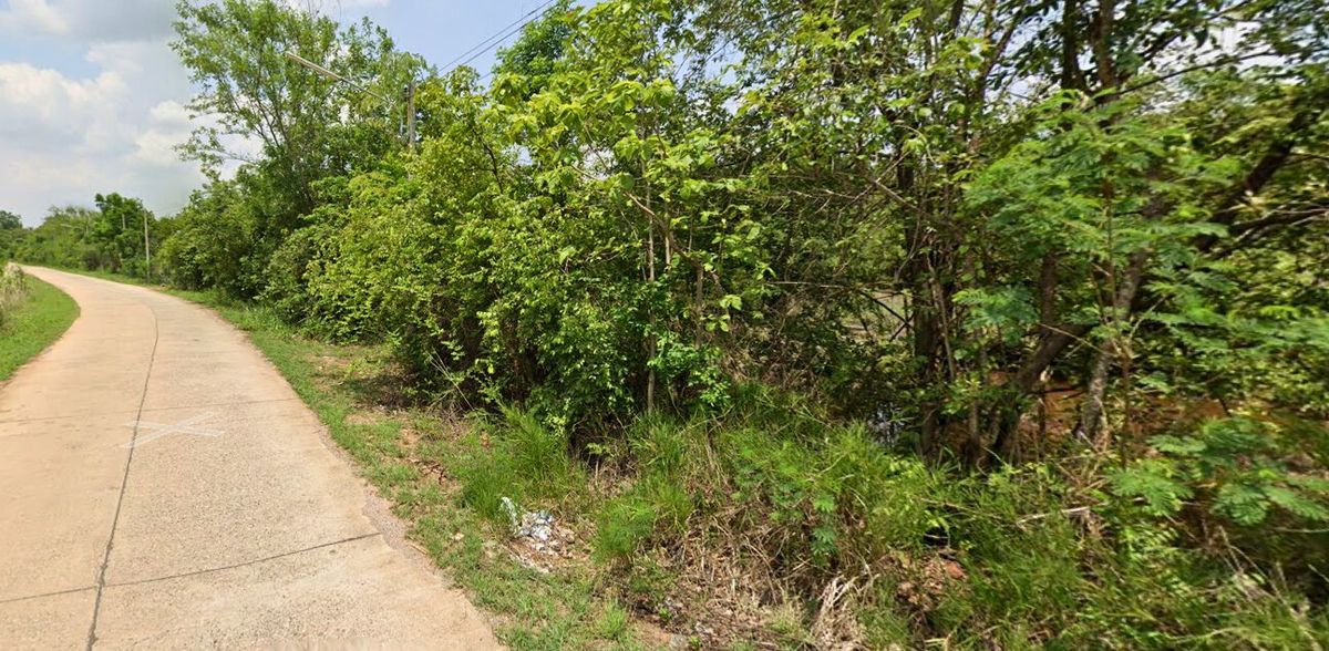 For SaleLandChaiyaphum : Land for sale, the land of Kaeng Khro, Chaiyaphum, suitable for agriculture and long -term investment.