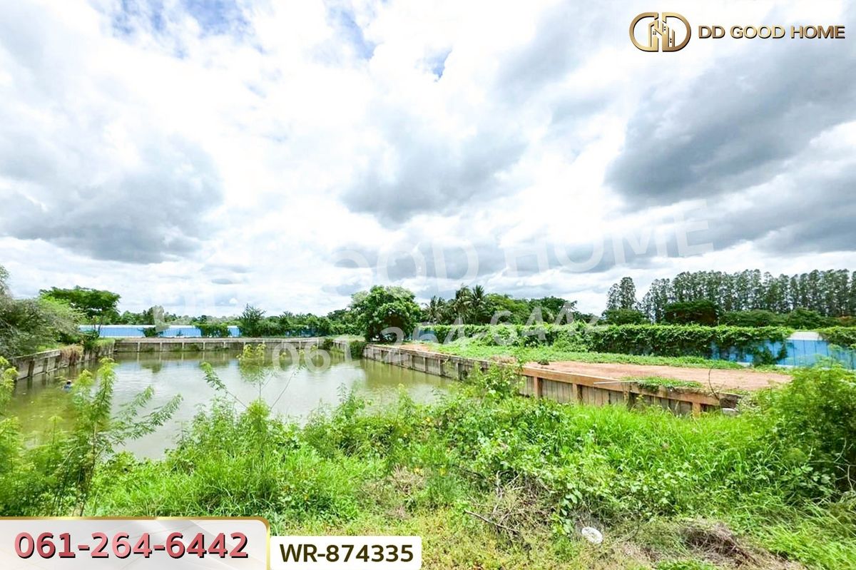 ขายที่ดินสุพรรณบุรี : WR-874335 ที่ดินพร้อมบ้านเดี่ยว สองพี่น้อง 4 ไร่ 40.9 ตร.ว. สุพรรณบุรี ใกล้ที่ว่าการอำเภอสองพี่น้อง