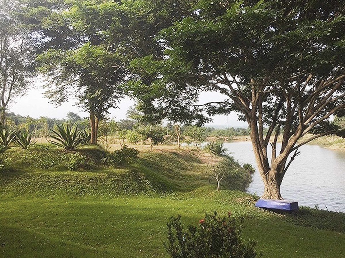 ขายที่ดินชะอำ เพชรบุรี : โอกาสทองสำหรับนักลงทุนและผู้ที่มองหาพื้นที่พัฒนาโครงการบ้านพักตากอากาศ รีสอร์ท หรือที่อยู่อาศัยในบรรยากาศธรรมชาติ