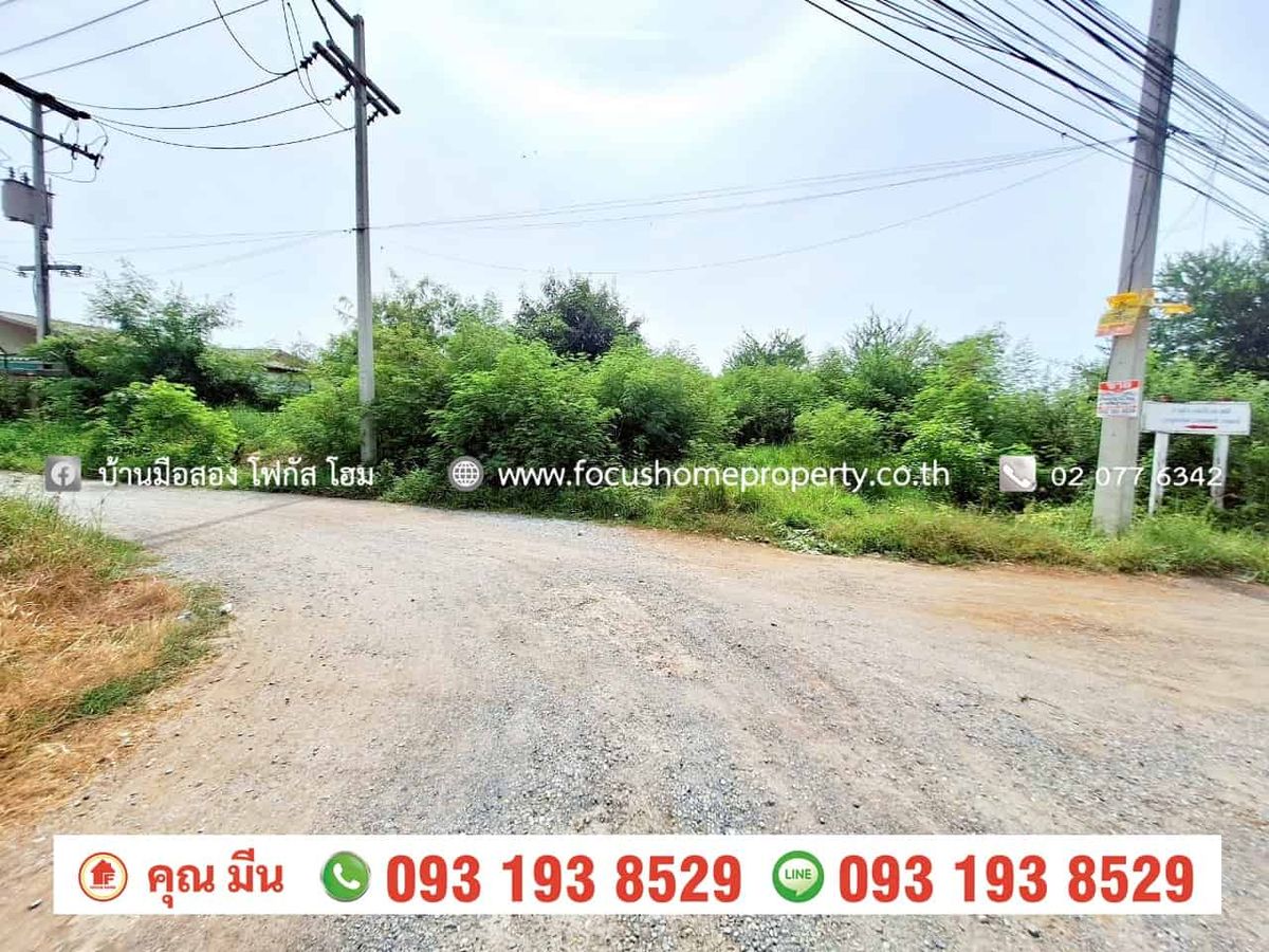 ขายที่ดินปทุมธานี รังสิต ธรรมศาสตร์ : ขาย หรือ เช่า ที่ดินแปลงมุมติดถนนใหญ่ 275 ตร.ว ลาดหลุมแก้ว ปทุมธานี