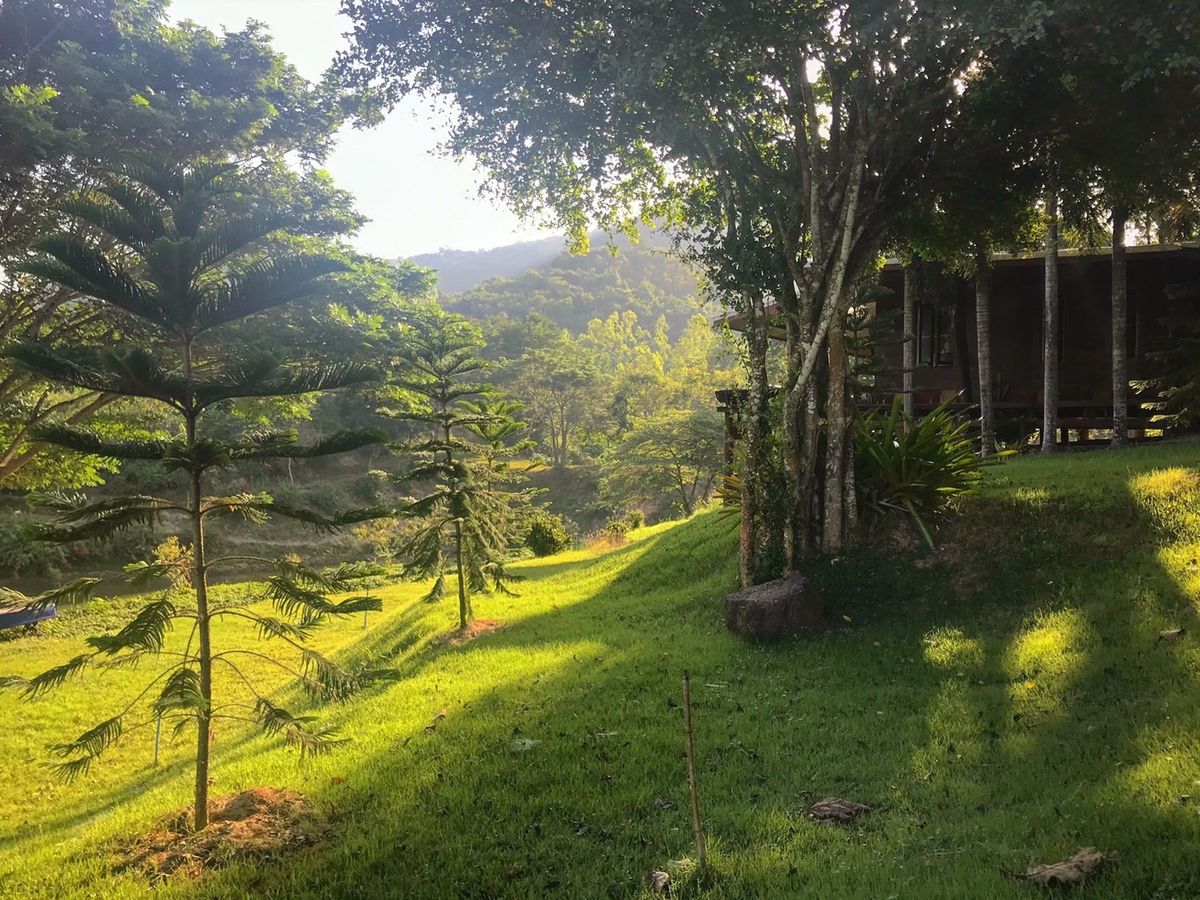 ขายที่ดินชะอำ เพชรบุรี : โอกาสทองสำหรับนักลงทุนและผู้ที่มองหาพื้นที่พัฒนาโครงการบ้านพักตากอากาศ รีสอร์ท หรือที่อยู่อาศัยในบรรยากาศธรรมชาติ