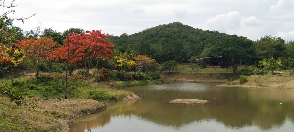 ขายที่ดินชะอำ เพชรบุรี : โอกาสทองสำหรับนักลงทุนและผู้ที่มองหาพื้นที่พัฒนาโครงการบ้านพักตากอากาศ รีสอร์ท หรือที่อยู่อาศัยในบรรยากาศธรรมชาติ