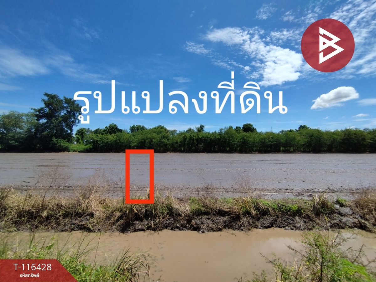 ขายที่ดินปทุมธานี รังสิต ธรรมศาสตร์ : ขายที่ดิน เนื้อที่ 1 ไร่ หนองเสือ ปทุมธานี