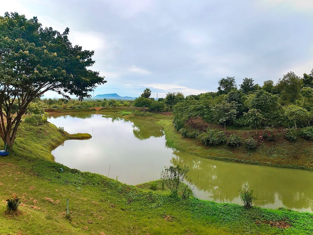 ขายที่ดินชะอำ เพชรบุรี : โอกาสทองสำหรับนักลงทุนและผู้ที่มองหาพื้นที่พัฒนาโครงการบ้านพักตากอากาศ รีสอร์ท หรือที่อยู่อาศัยในบรรยากาศธรรมชาติ