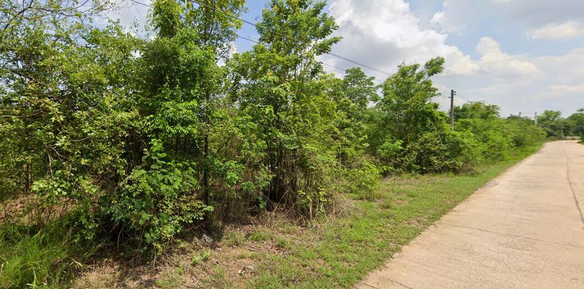 For SaleLandChaiyaphum : Land for sale, the land of Kaeng Khro, Chaiyaphum, suitable for agriculture and long -term investment.