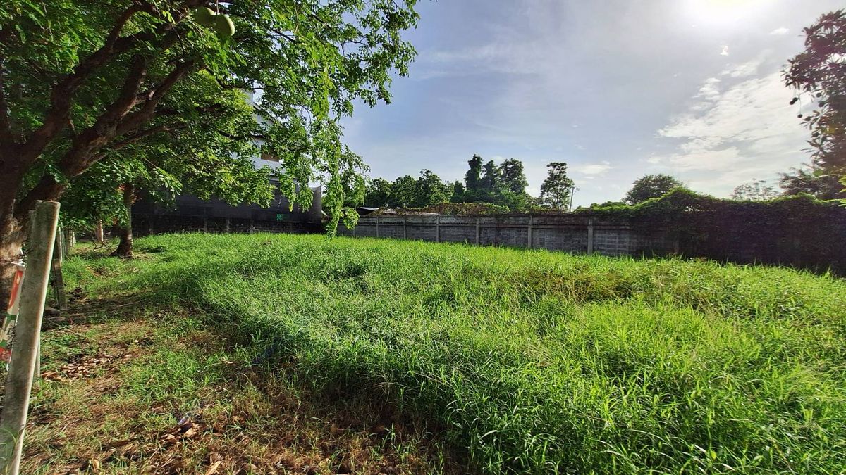 For SaleLandBangna, Bearing, Lasalle : Land for sale in Krisada Nakhon Village, Bangna Trat, Km. 7