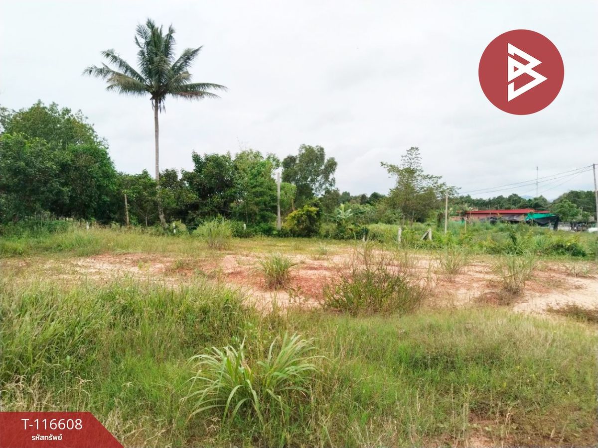 ขายที่ดินจันทบุรี : ขายที่ดิน เนื้อที่ 95.5 ตร.วา นายายอาม จันทบุรี
