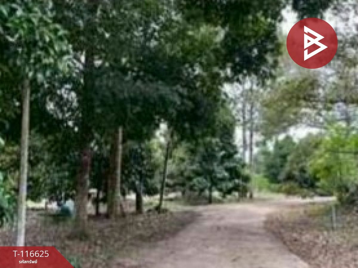 ขายที่ดินจันทบุรี : ขายที่ดินพร้อมสวน เนื้อที่ 7 ไร่ 22 ตร.วา มะขาม จันทบุรี