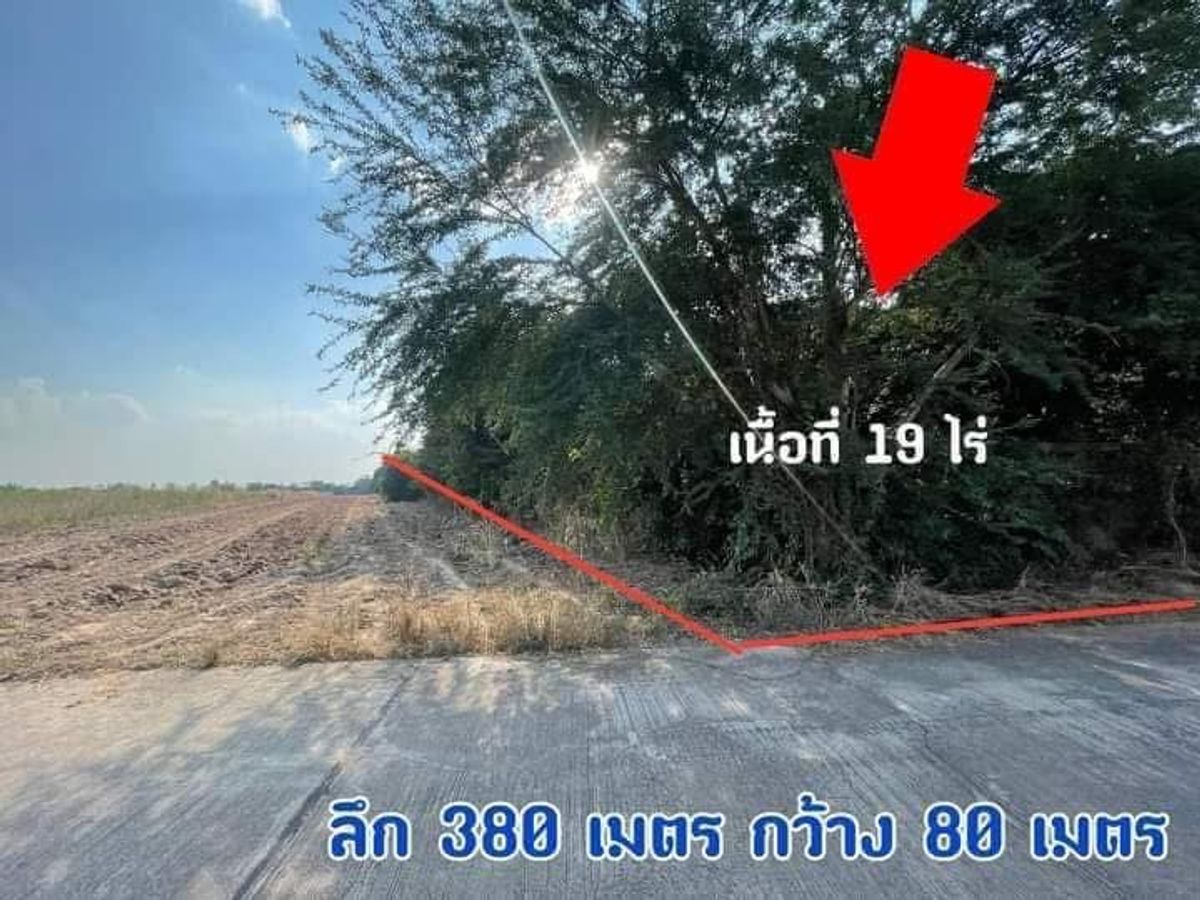 ขายที่ดินนครสวรรค์ : 🤩♥️ขายถูก ขายด่วน ถูกมาก 19ไร่ 2.5ล้าน  ลาดยาว นครสวรรค์ 🤩♥️