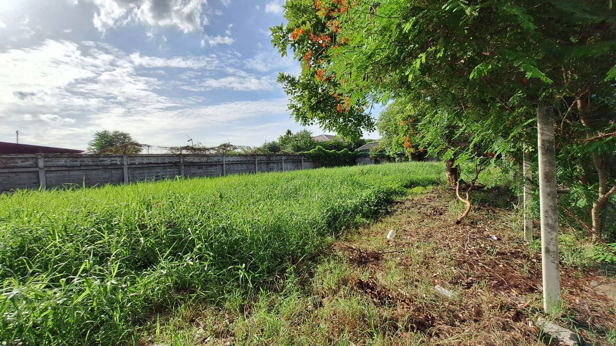 For SaleLandBangna, Bearing, Lasalle : Land for sale in Krisada Nakhon Village, Bangna Trat, Km. 7