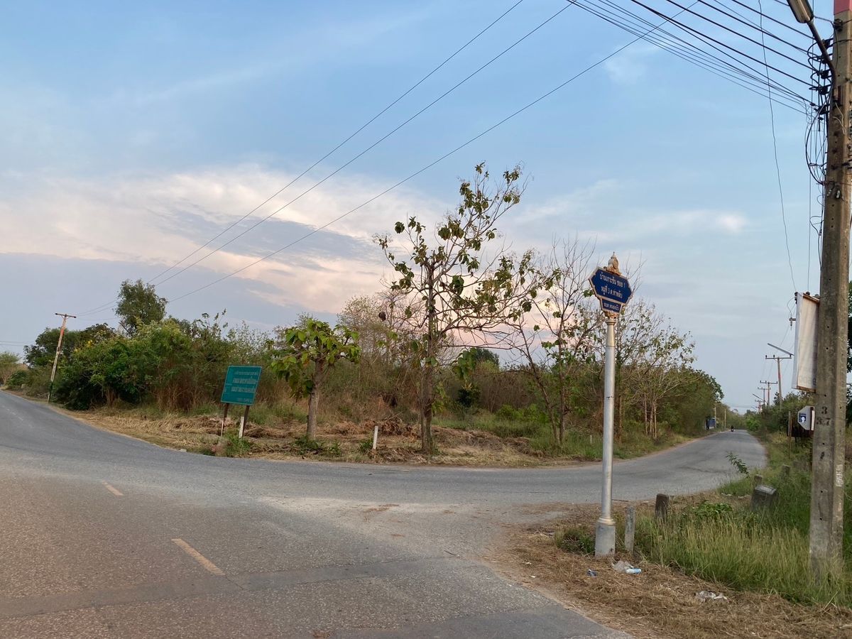 ขายที่ดินฉะเชิงเทรา : ขายที่ดิน ฉะเชิงเทรา  ตำบล ท่าพลับ อำเภอบ้านโพธิ์ ฉะเชิงเทรา 24140