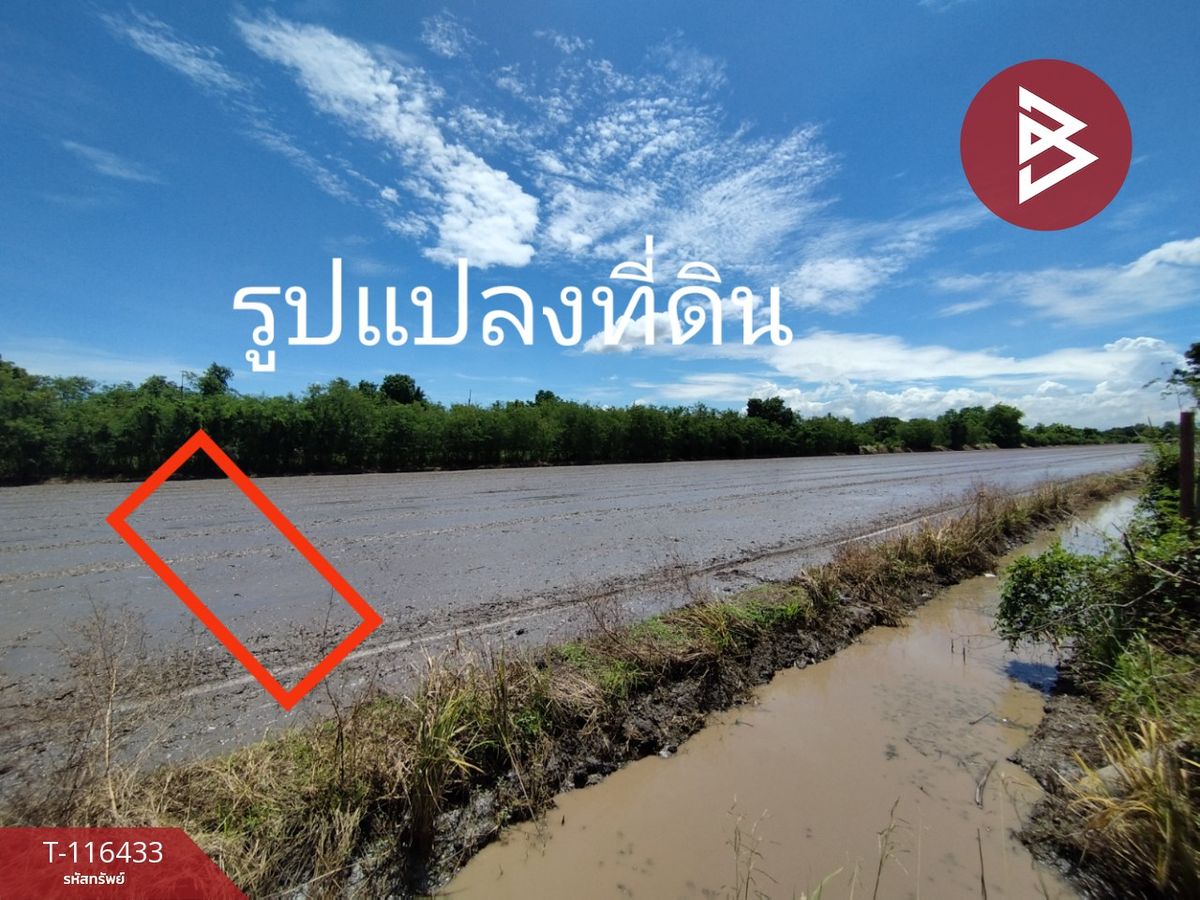 ขายที่ดินปทุมธานี รังสิต ธรรมศาสตร์ : ขายที่ดิน เนื้อที่ 1 ไร่ หนองเสือ ปทุมธานี