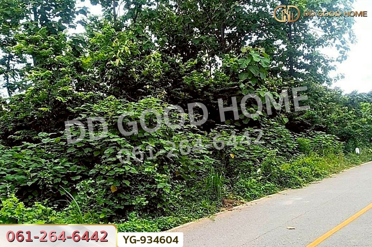 ขายที่ดินตาก : DD-934604 ที่ดินสามเงา 4 ไร่ 239.7 ตร.ว. ตาก ใกล้เขื่อนภูมิพล