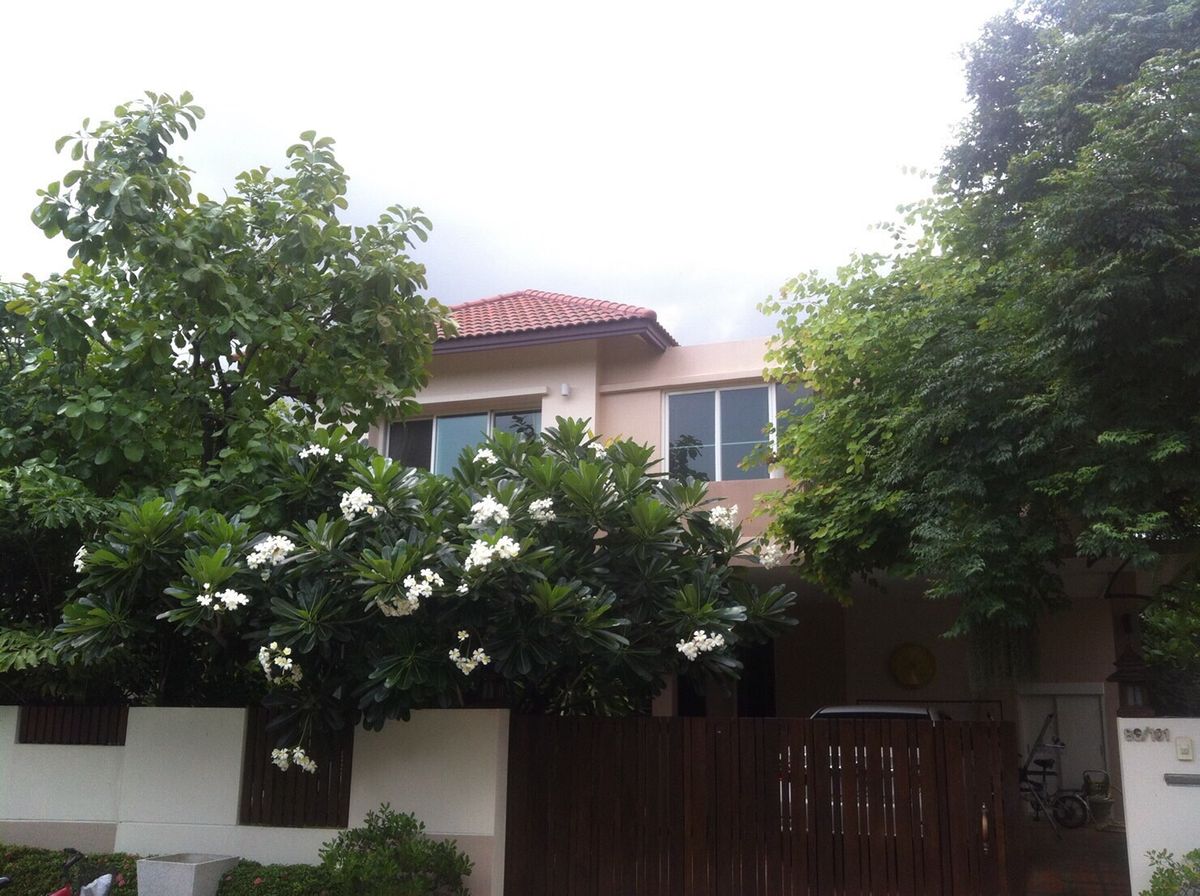 ขายบ้านพัฒนาการ ศรีนครินทร์ : ขาย / ให้เช่า บ้านเดี่ยว 2 ชั้น  Villa Arcadia Srinakarin ใกล้สนามบินสุวรรณภูมิและสนามกอล์ฟเมืองแก้ว