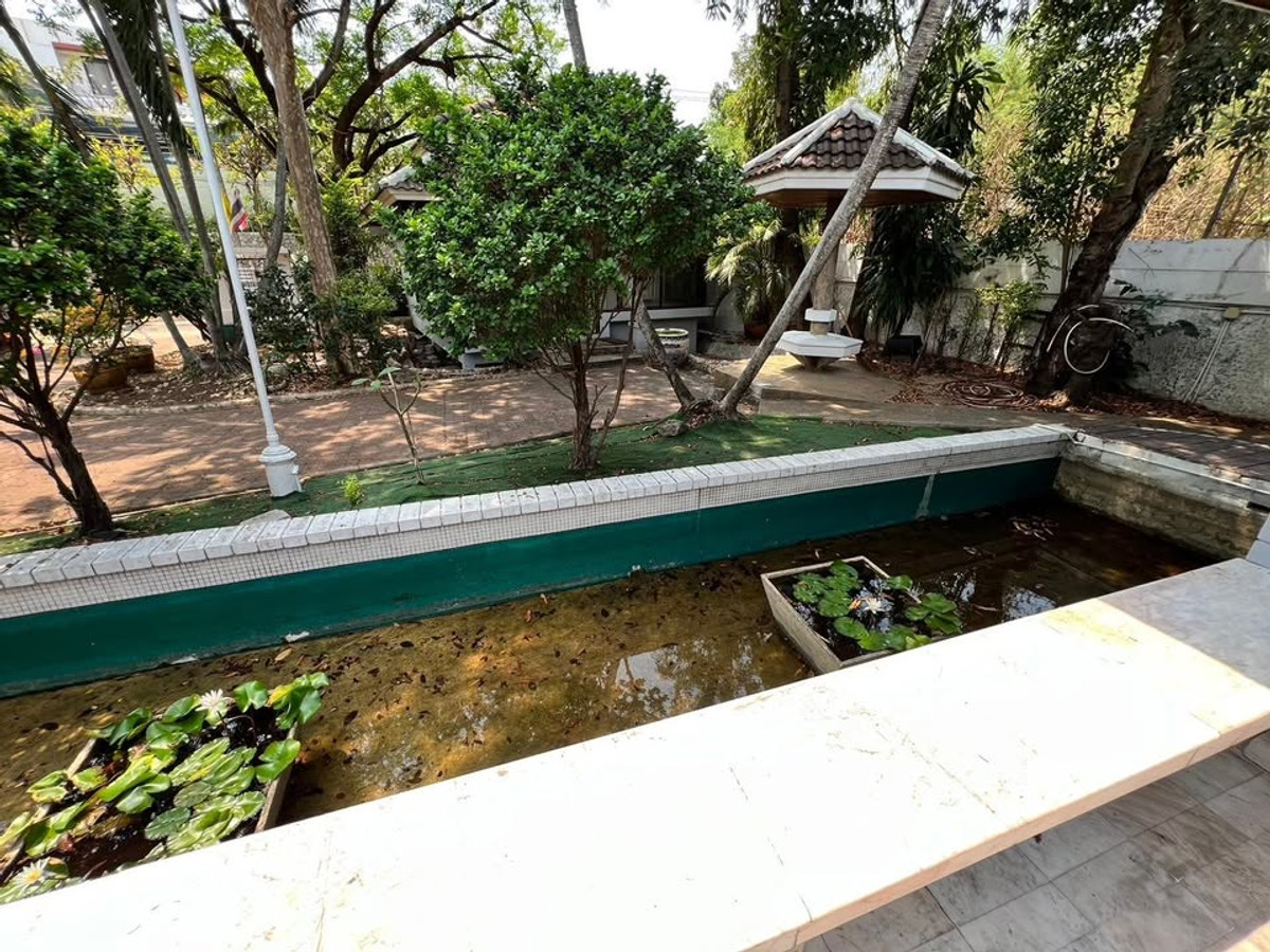 ให้เช่าบ้านแจ้งวัฒนะ เมืองทอง : จะเตรียม ให้สวยงาม เรียบร้อย ก่อนเข้าอยู่ 100% บ้านเดี่ยว ตกแต่งด้วยหินอ่อน 4ห้องนอน ในเมืองทองธานี