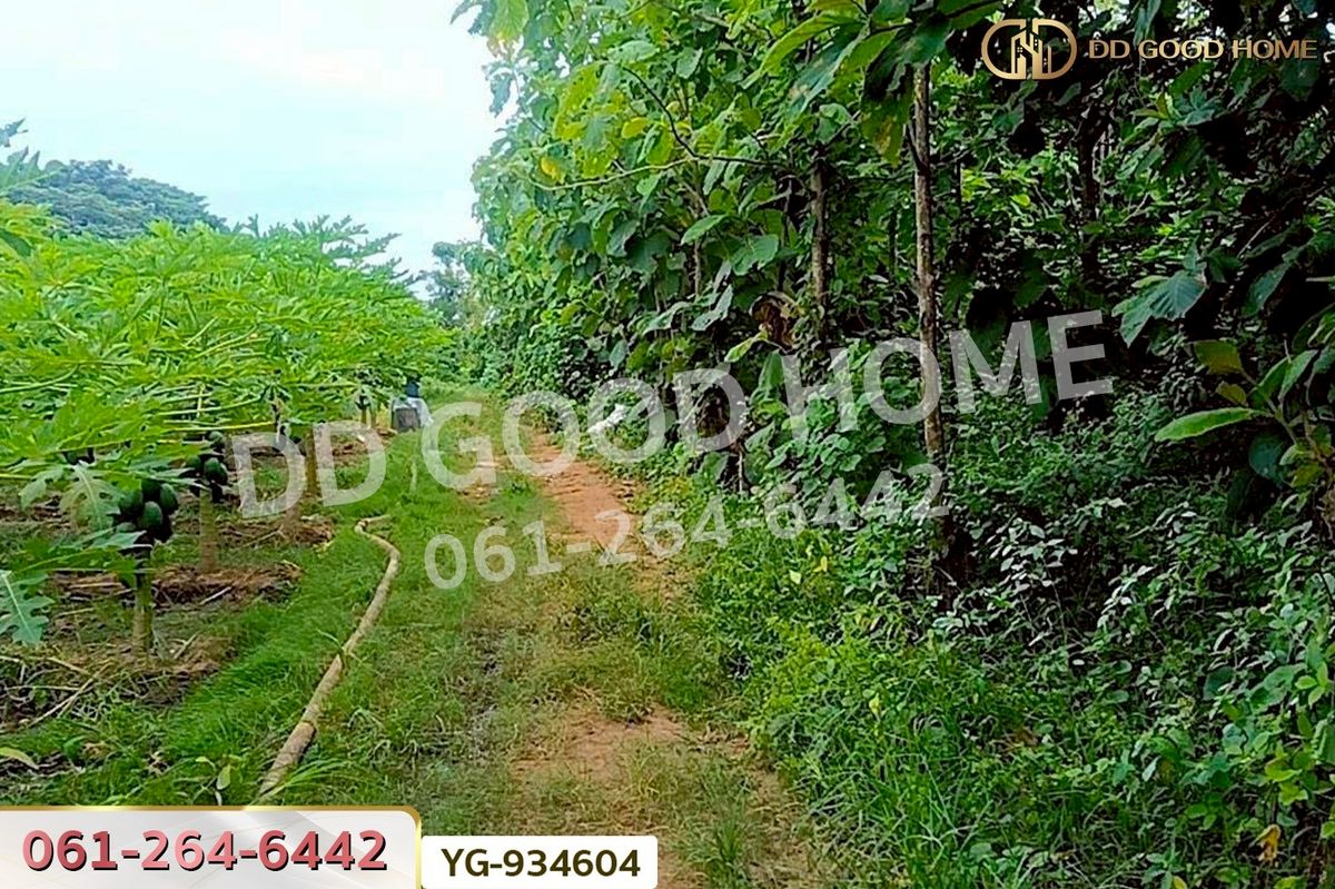 ขายที่ดินตาก : DD-934604 ที่ดินสามเงา 4 ไร่ 239.7 ตร.ว. ตาก ใกล้เขื่อนภูมิพล