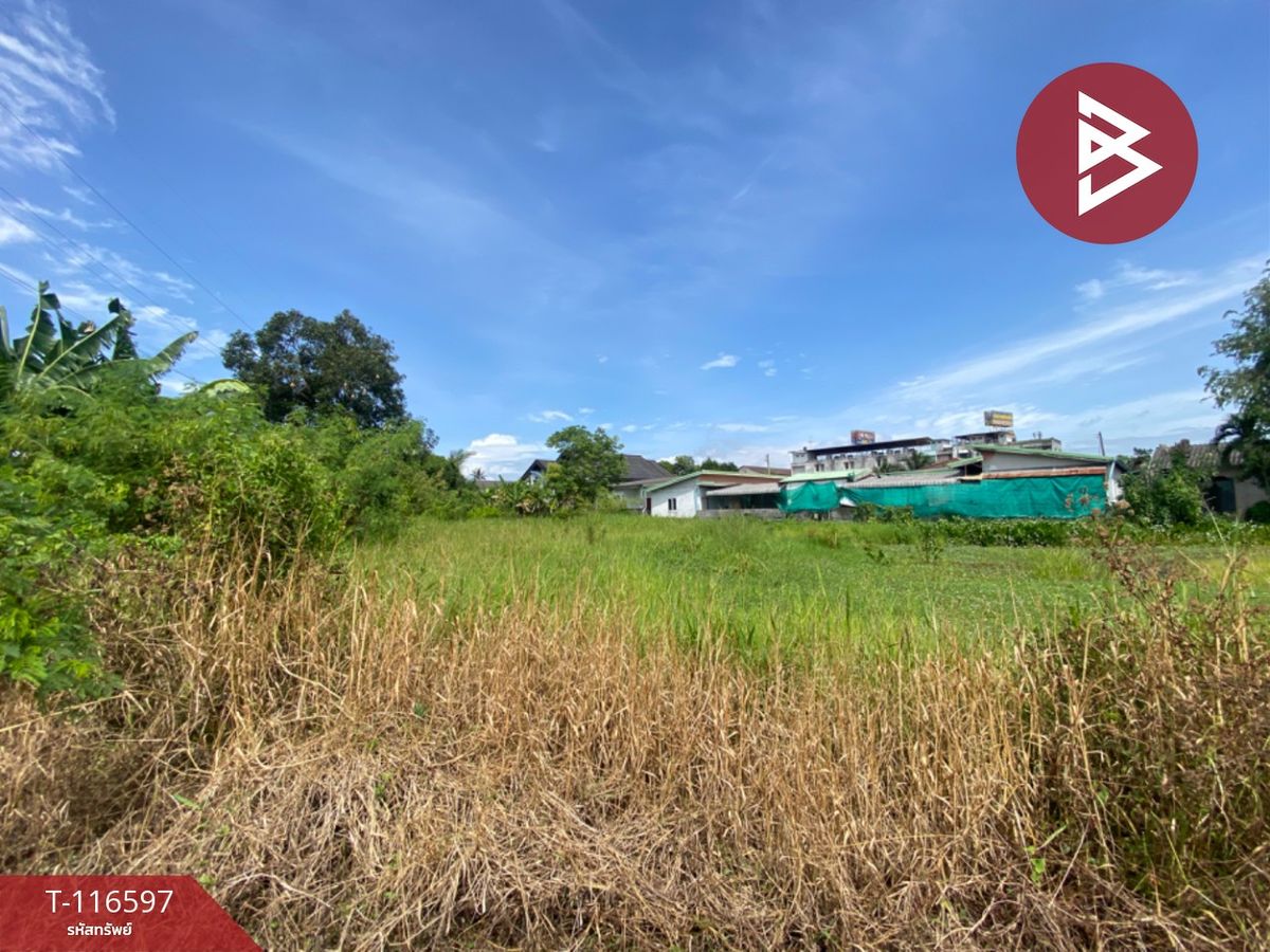For SaleLandKoh Samui, Surat Thani : Land for sale, area 3 jobs, 4.8 sq.wah, Makham Tia, Surat Thani