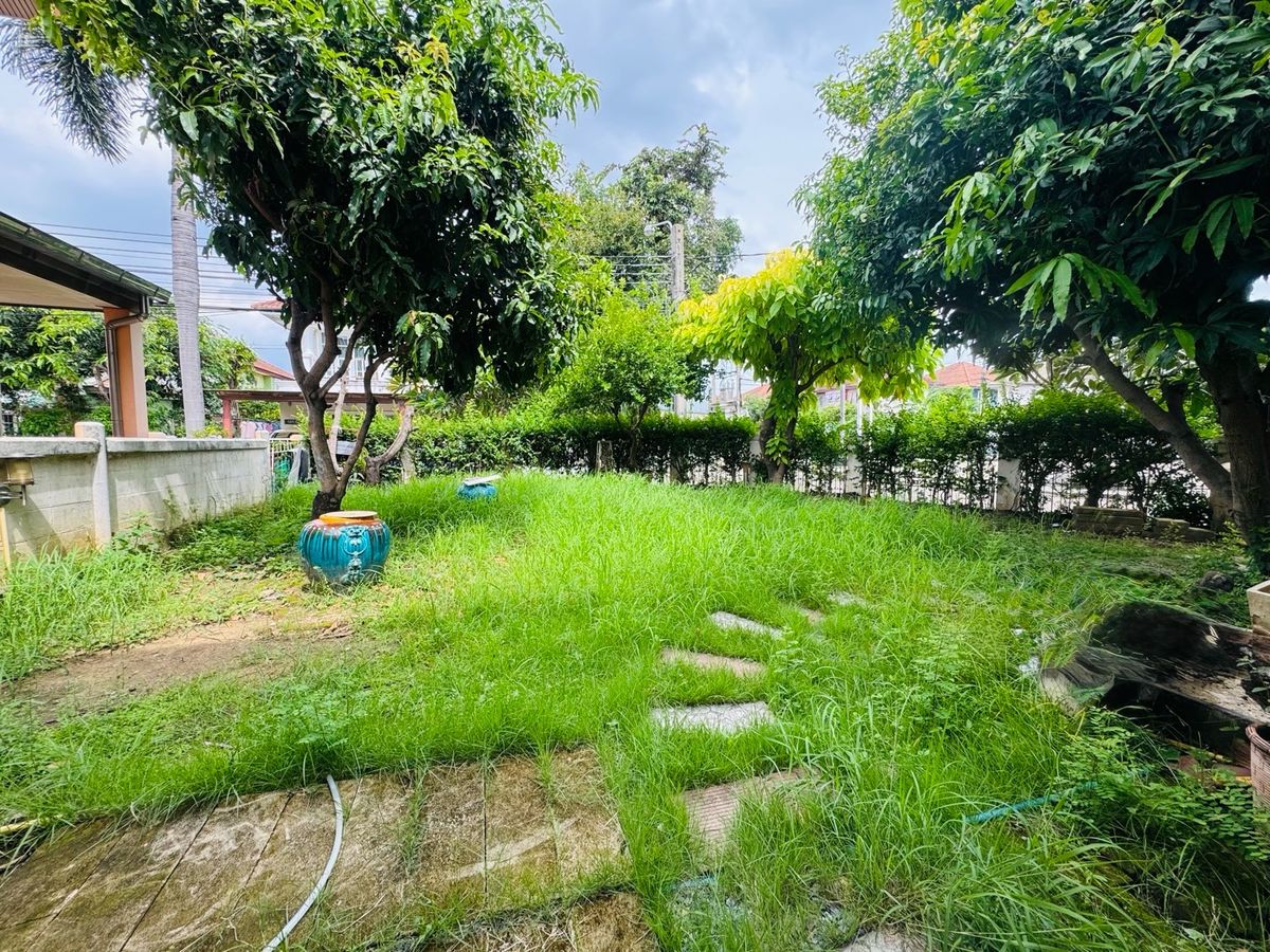 For SaleHouseRama5, Ratchapruek, Bangkruai : Chuan Chuen Pinklao Project, big house, good location, road in front of the house, 12 meters wide