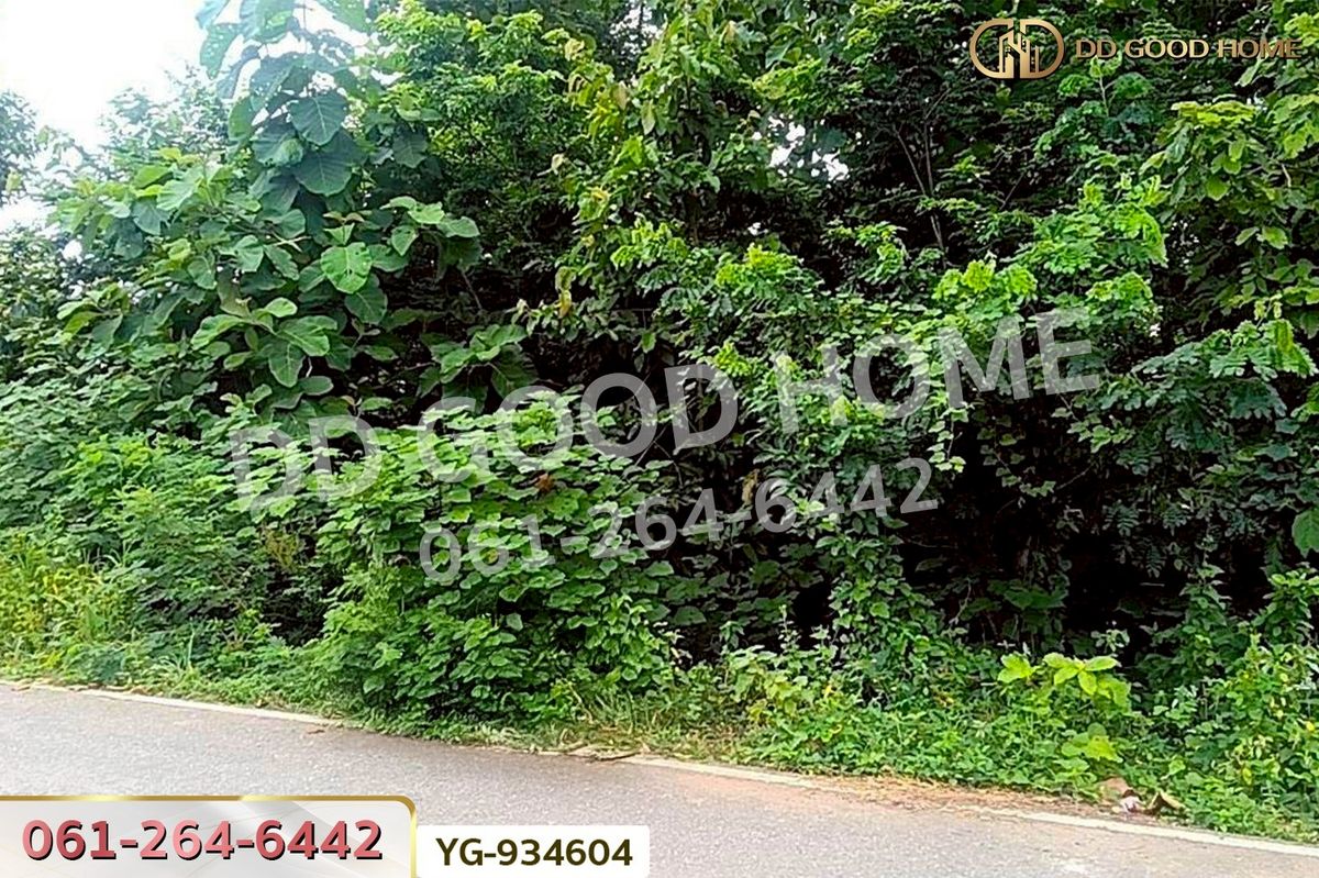 ขายที่ดินตาก : DD-934604 ที่ดินสามเงา 4 ไร่ 239.7 ตร.ว. ตาก ใกล้เขื่อนภูมิพล