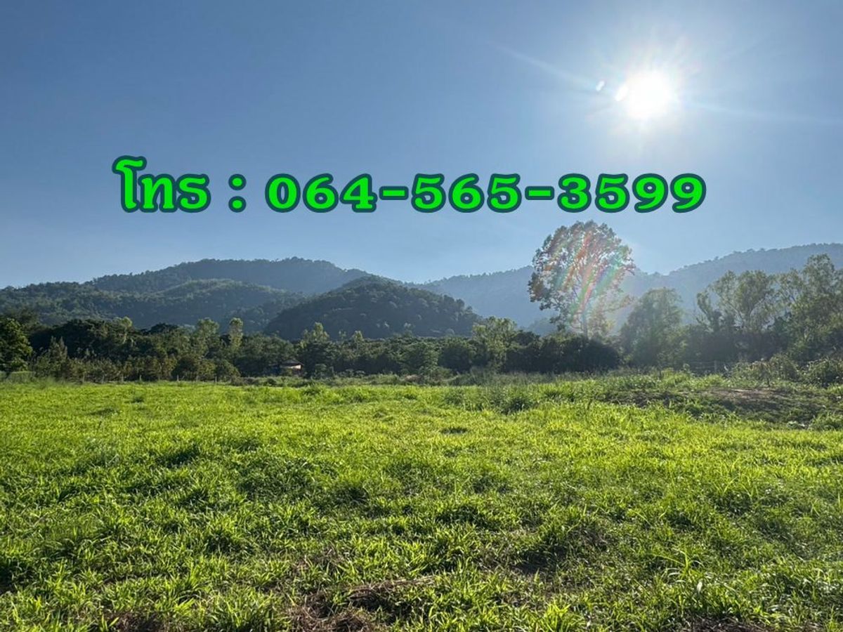 ขายที่ดินปากช่อง เขาใหญ่ : สอบถามโทร : 064-565-3599 ขายที่ดินใกล้เขาใหญ่ 432 ตารางวา ฟินกับธรรมชาติ ใกล้ภูเขา และลำธาร ใกล้ถนนธนะรัชต์ ตำบลหมูสี อำเภอปากช่อง นครราชสีมา เพียงแค่ 3 นาที ถึงหน้าด่านทางขึ้นเขาใหญ่
