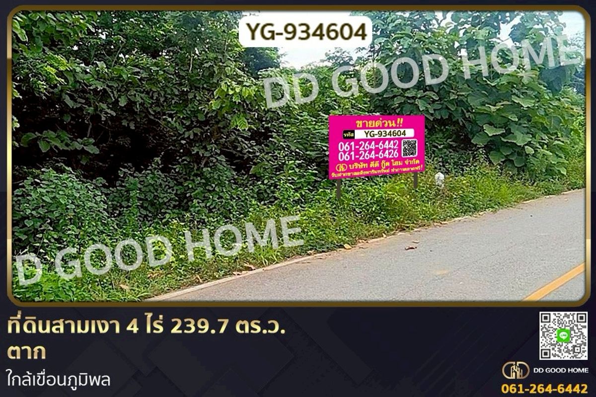 ขายที่ดินตาก : YG-934604 ที่ดินสามเงา 4 ไร่ 239.7 ตร.ว. ตาก ใกล้เขื่อนภูมิพล