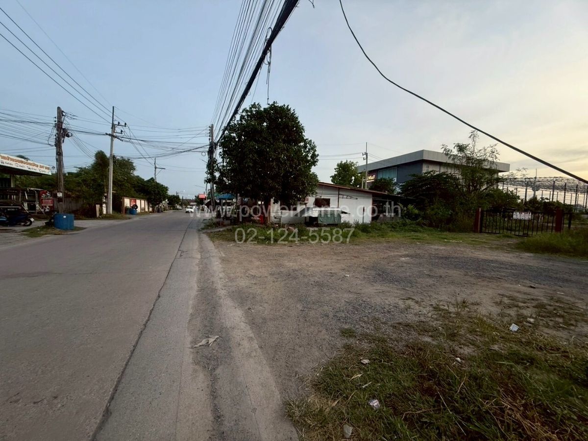 ขายที่ดินปทุมธานี รังสิต ธรรมศาสตร์ : ที่ดินเปล่าถมแล้ว ทำเลดี ติดถนน ใกล้โรงเรียนเทศบาล 1 (ขจรเนติยุทธ) ถนนลำลูกกา ต.คูคต อ.ลำลูกกา จ.ปทุมธานี