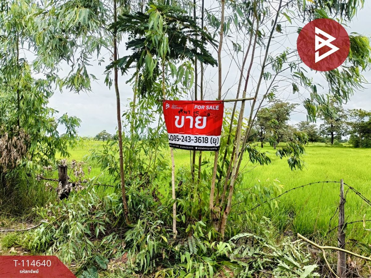 ขายที่ดินกาฬสินธุ์ : ขายที่ดิน เนื้อที่ 15 ไร่ 40.9 ตร.วา ยางตลาด กาฬสินธุ์