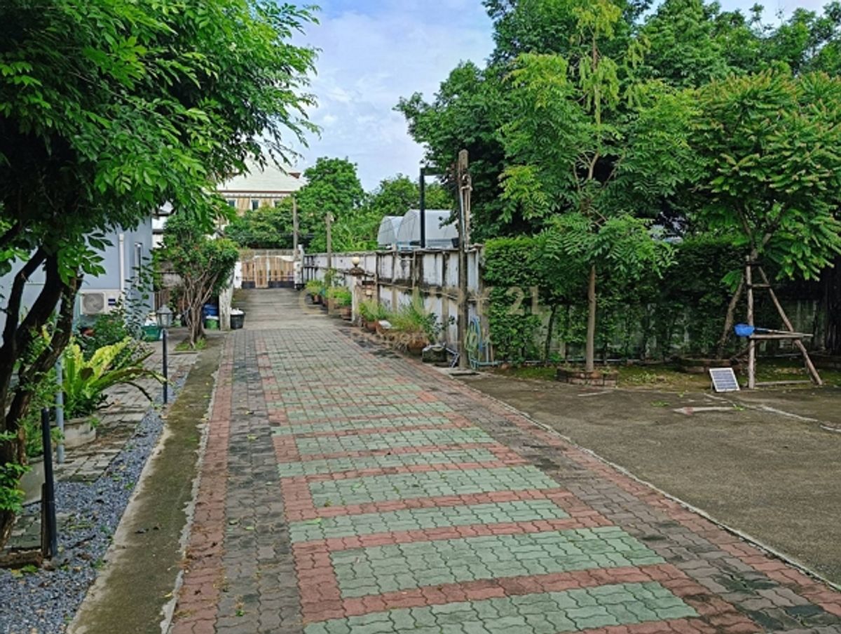 ขายบ้านปทุมธานี รังสิต ธรรมศาสตร์ : แปลงที่ดิน 3 แปลงรวม 308 ตร.วา – ทำเลเงียบใจกลางเมือง เหมาะสำหรับสร้างบ้านหลังใหญ่หรือโฮมออฟฟิศส่วนตัว No.59-HH-68031
