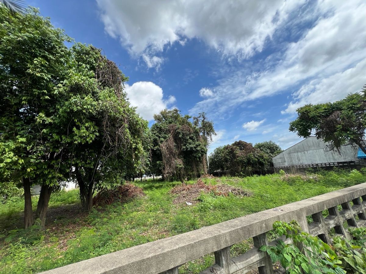 ขายที่ดินนครปฐม : [For Sale] 🌟 ขายที่ดิน 2 ไร่ ใจกลางนครปฐม เหมาะซื้ออยู่เอง ลงทุน หรือพัฒนาโครงการ เดินทางสะดวก ใกล้กรุงเทพฯ 🌟