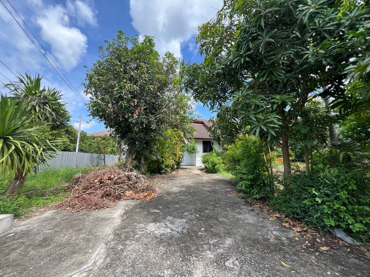 ขายที่ดินนครปฐม : [For Sale] 🌟 ขายที่ดิน 2 ไร่ ใจกลางนครปฐม เหมาะซื้ออยู่เอง ลงทุน หรือพัฒนาโครงการ เดินทางสะดวก ใกล้กรุงเทพฯ 🌟