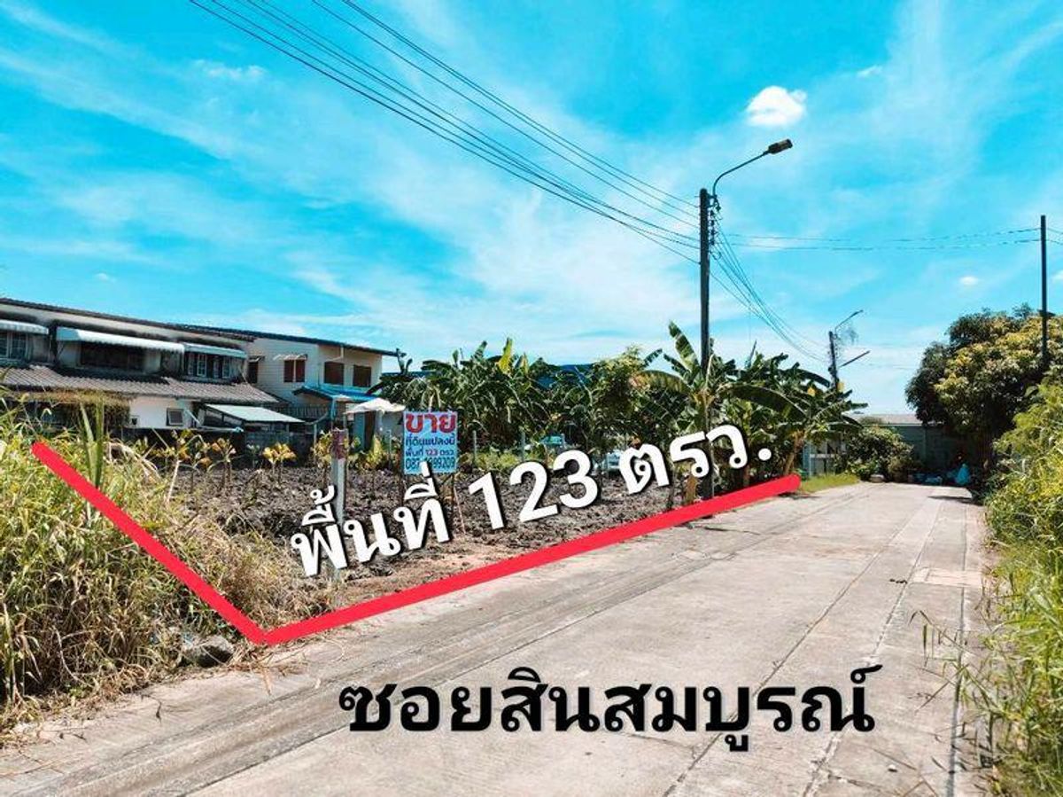 ขายที่ดินนนทบุรี บางใหญ่ บางบัวทอง : ที่ดิน เมืองนนทบุรี 123 ตรว.