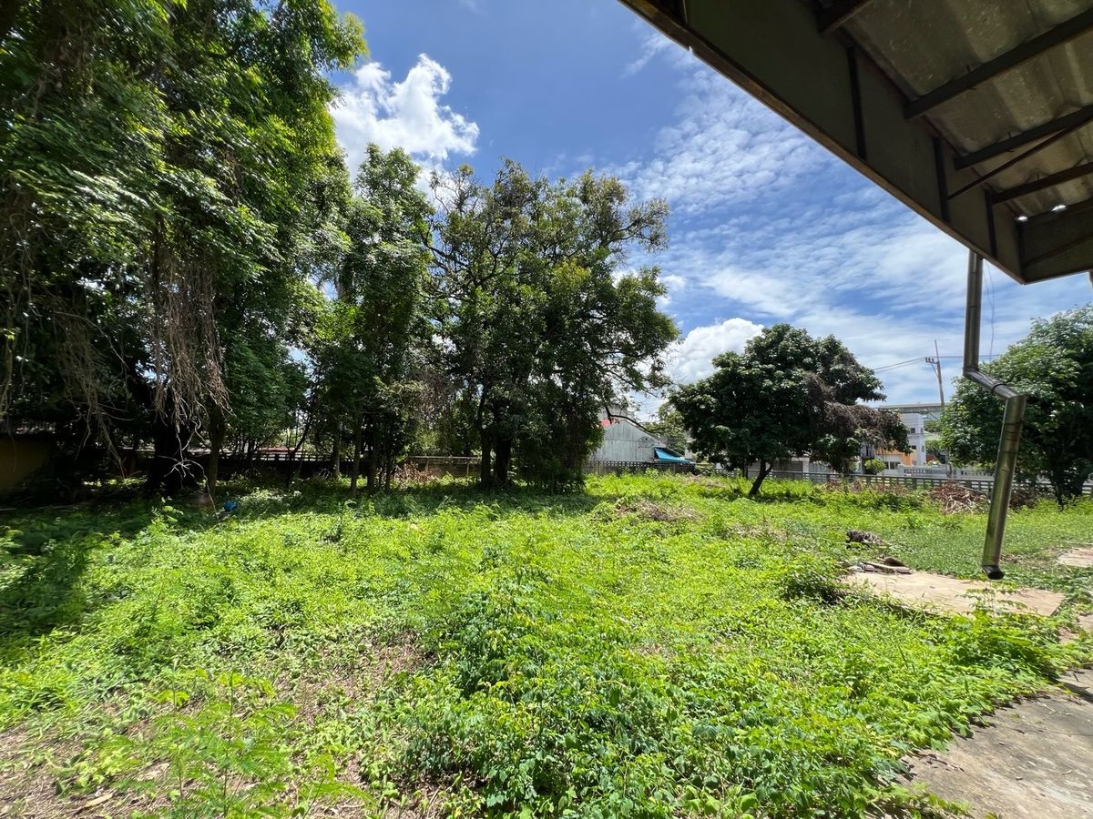 ขายที่ดินนครปฐม : [For Sale] 🌟 ขายที่ดิน 2 ไร่ ใจกลางนครปฐม เหมาะซื้ออยู่เอง ลงทุน หรือพัฒนาโครงการ เดินทางสะดวก ใกล้กรุงเทพฯ 🌟