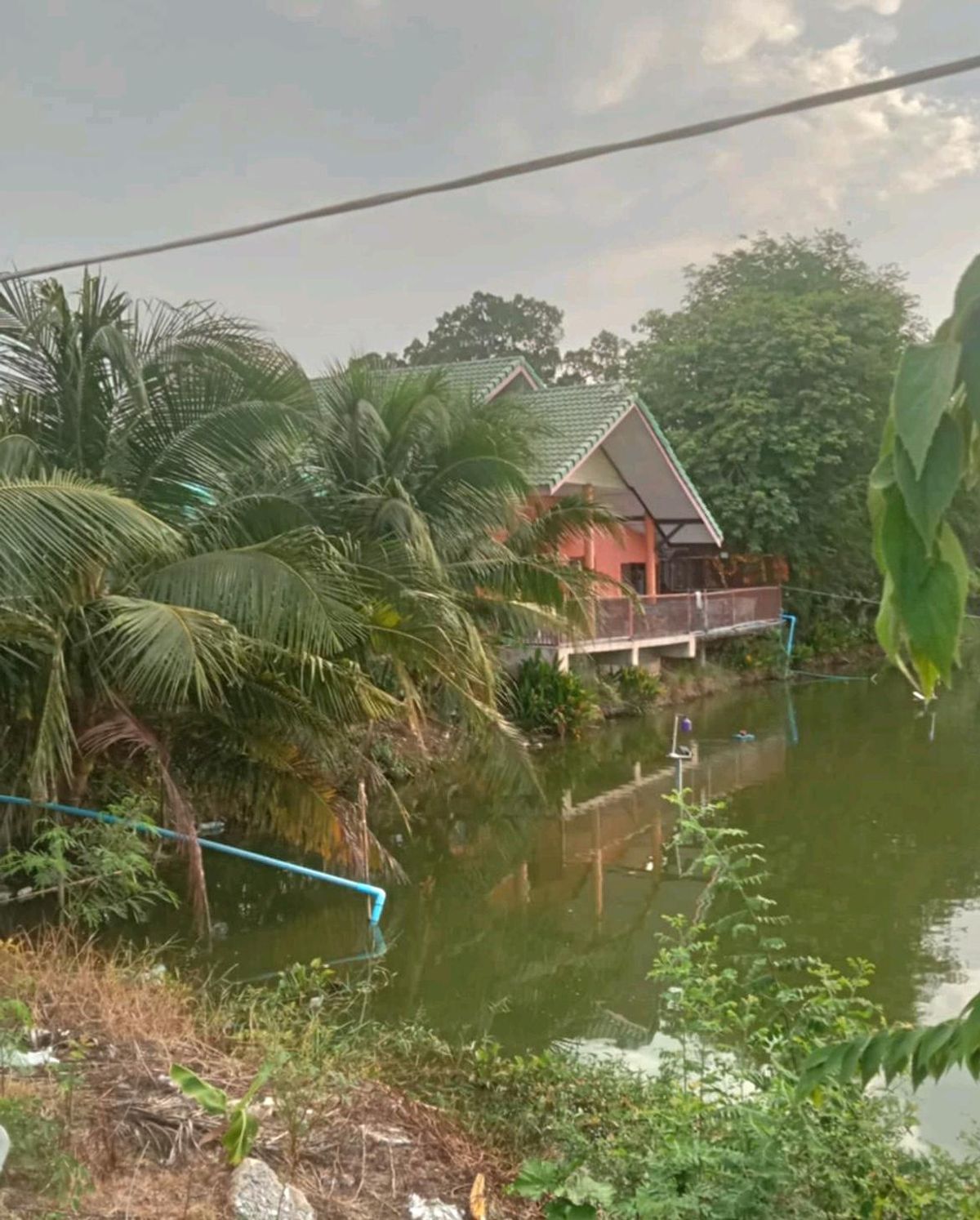 ให้เช่าบ้านนครปฐม : ให้เช่าบ้านชั้นเดียว เล่นระดับ 50ตรว. วิวบึงน้ำ อยู่อ.บางเลน นครปฐม ใกล้วัดเกาะแรต