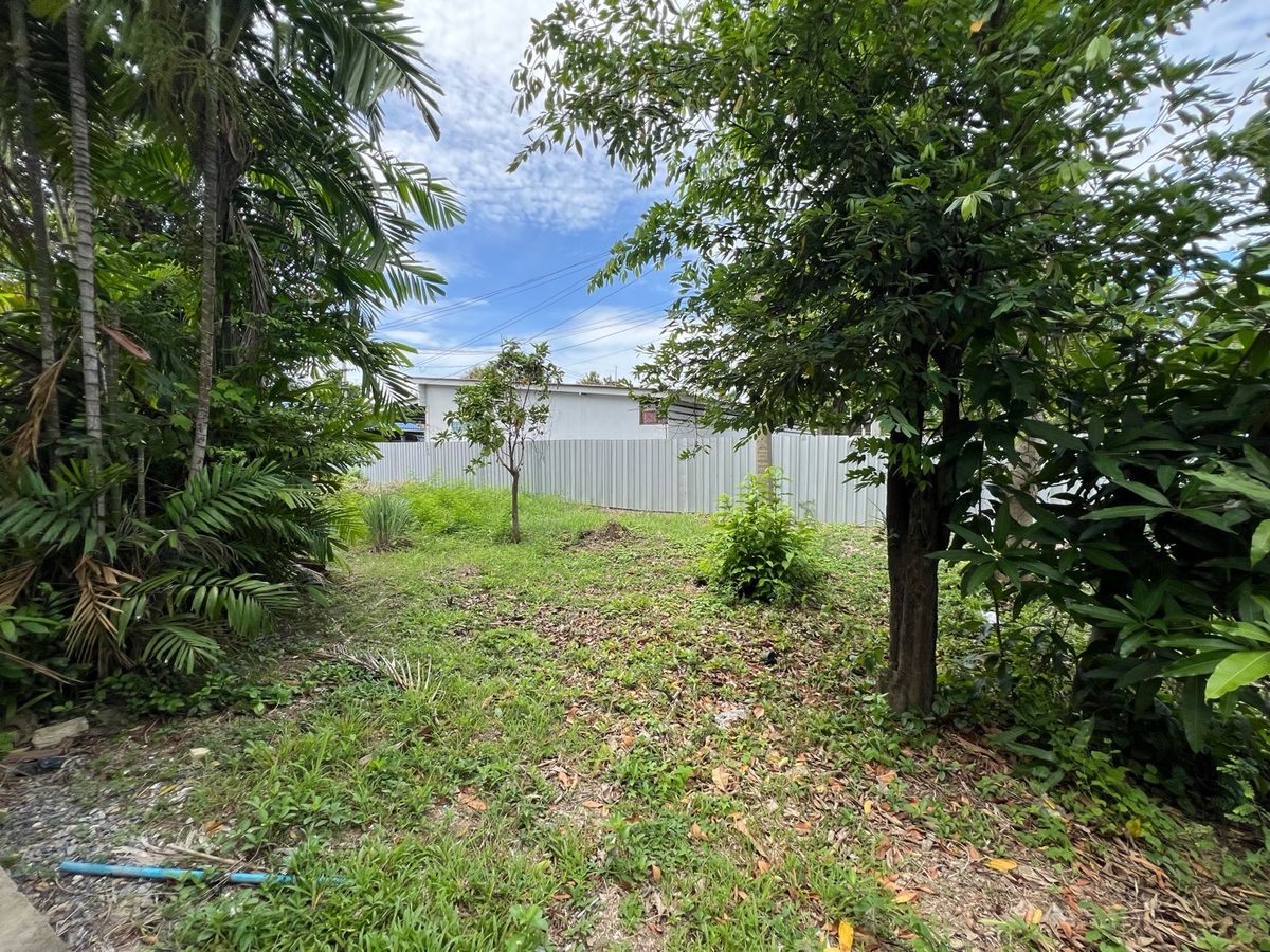 ขายที่ดินนครปฐม : [For Sale] 🌟 ขายที่ดิน 2 ไร่ ใจกลางนครปฐม เหมาะซื้ออยู่เอง ลงทุน หรือพัฒนาโครงการ เดินทางสะดวก ใกล้กรุงเทพฯ 🌟