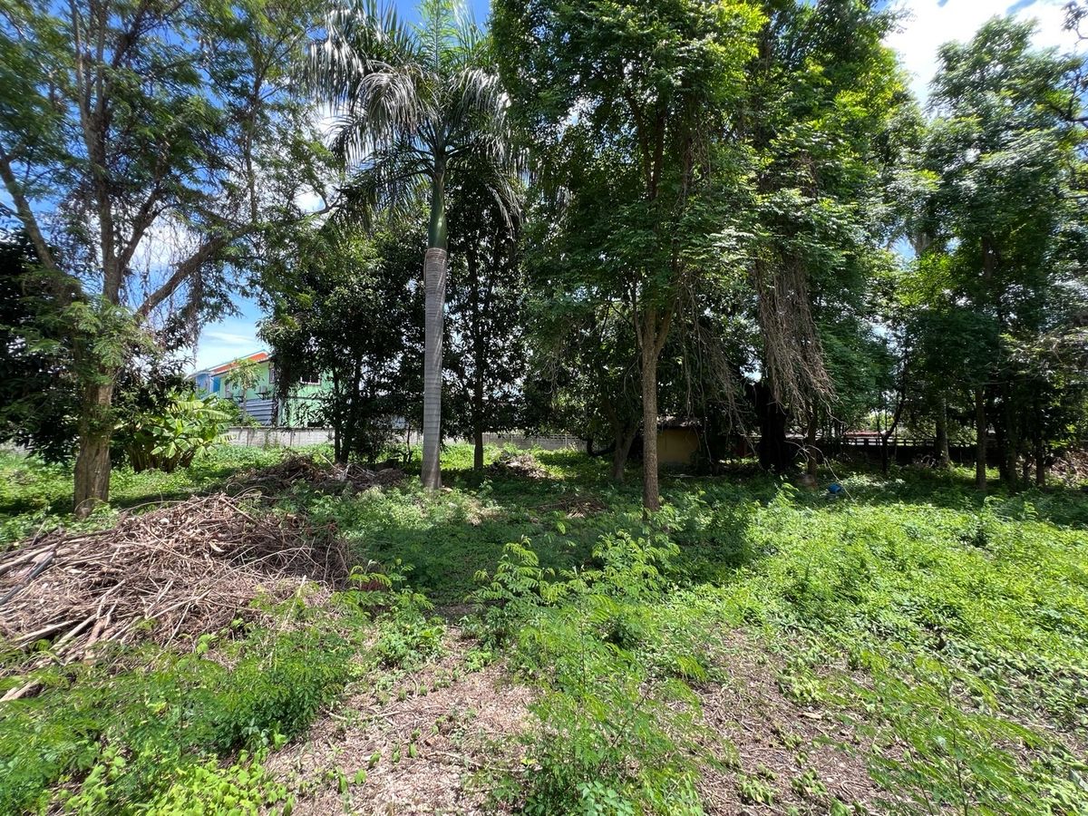 ขายที่ดินนครปฐม : [For Sale] 🌟 ขายที่ดิน 2 ไร่ ใจกลางนครปฐม เหมาะซื้ออยู่เอง ลงทุน หรือพัฒนาโครงการ เดินทางสะดวก ใกล้กรุงเทพฯ 🌟