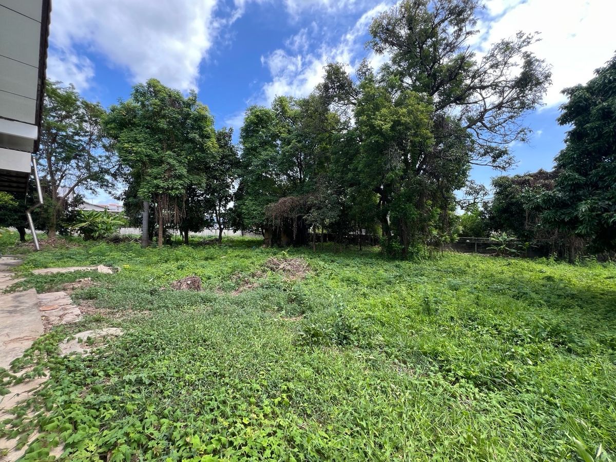 ขายที่ดินนครปฐม : [For Sale] 🌟 ขายที่ดิน 2 ไร่ ใจกลางนครปฐม เหมาะซื้ออยู่เอง ลงทุน หรือพัฒนาโครงการ เดินทางสะดวก ใกล้กรุงเทพฯ 🌟