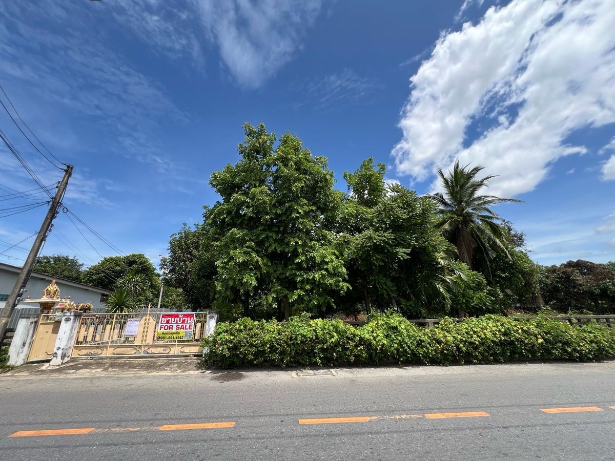 ขายที่ดินนครปฐม : [For Sale] 🌟 ขายที่ดิน 2 ไร่ ใจกลางนครปฐม เหมาะซื้ออยู่เอง ลงทุน หรือพัฒนาโครงการ เดินทางสะดวก ใกล้กรุงเทพฯ 🌟