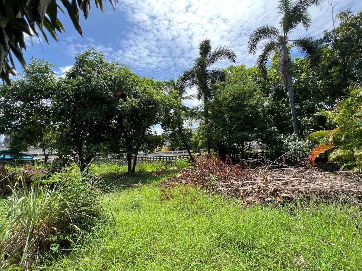 ขายที่ดินนครปฐม : [For Sale] 🌟 ขายที่ดิน 2 ไร่ ใจกลางนครปฐม เหมาะซื้ออยู่เอง ลงทุน หรือพัฒนาโครงการ เดินทางสะดวก ใกล้กรุงเทพฯ 🌟