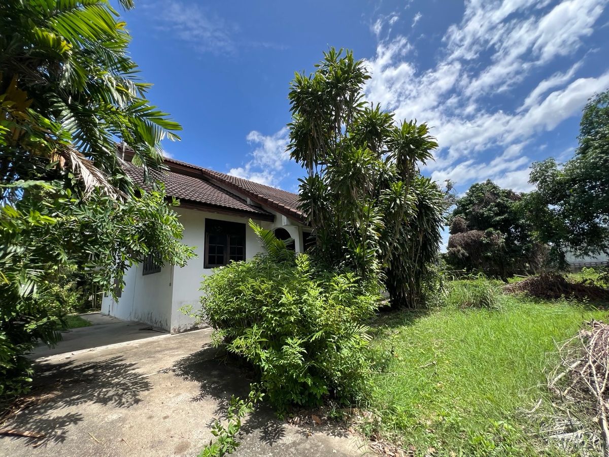 ขายที่ดินนครปฐม : [For Sale] 🌟 ขายที่ดิน 2 ไร่ ใจกลางนครปฐม เหมาะซื้ออยู่เอง ลงทุน หรือพัฒนาโครงการ เดินทางสะดวก ใกล้กรุงเทพฯ 🌟