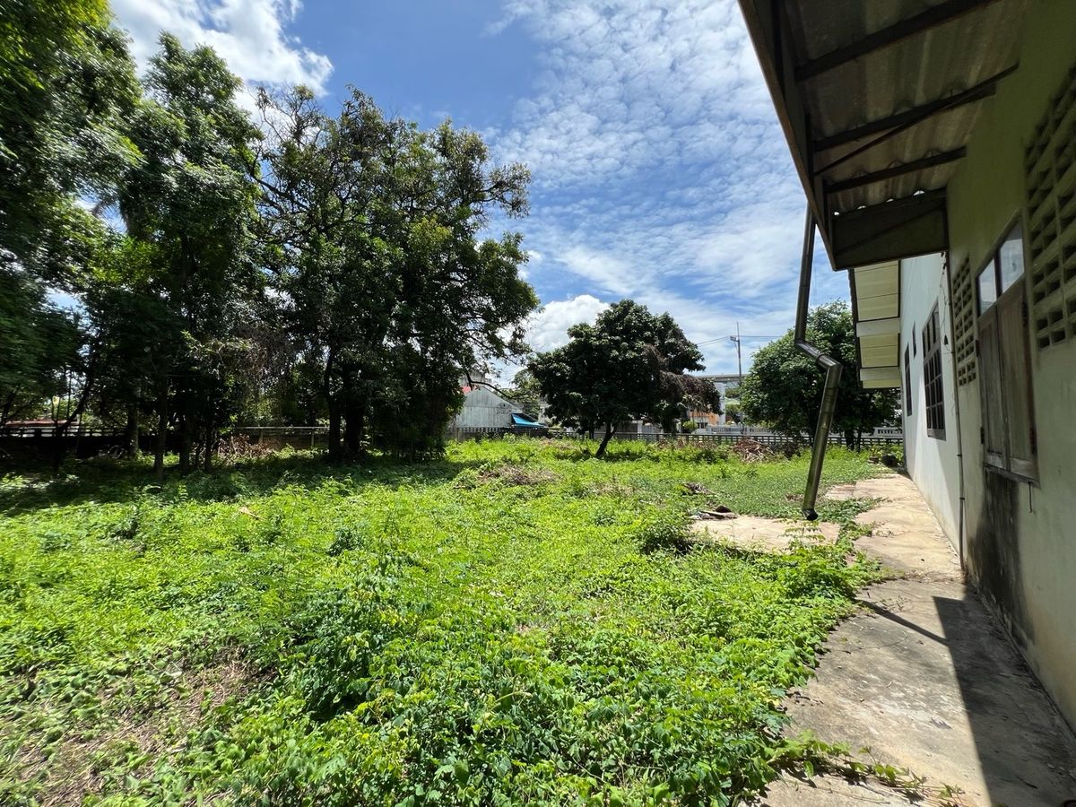 ขายที่ดินนครปฐม : [For Sale] 🌟 ขายที่ดิน 2 ไร่ ใจกลางนครปฐม เหมาะซื้ออยู่เอง ลงทุน หรือพัฒนาโครงการ เดินทางสะดวก ใกล้กรุงเทพฯ 🌟