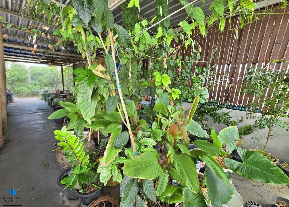 ขายอาคารพาณิชย์ลาดพร้าว เซ็นทรัลลาดพร้าว : ขายด่วน อาคารพาณิชย์ 3.5 ชั้น 15 ตร.วา ซ.ลาดพร้าว 15 ทำเลดีมาก หลัง Big C ใกล้ MRT ลาดพร้าว