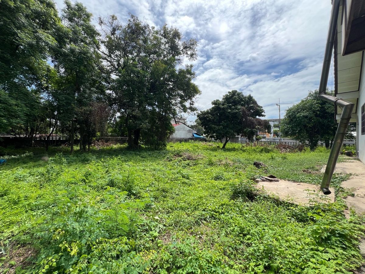 ขายที่ดินนครปฐม : [For Sale] 🌟 ขายที่ดิน 2 ไร่ ใจกลางนครปฐม เหมาะซื้ออยู่เอง ลงทุน หรือพัฒนาโครงการ เดินทางสะดวก ใกล้กรุงเทพฯ 🌟