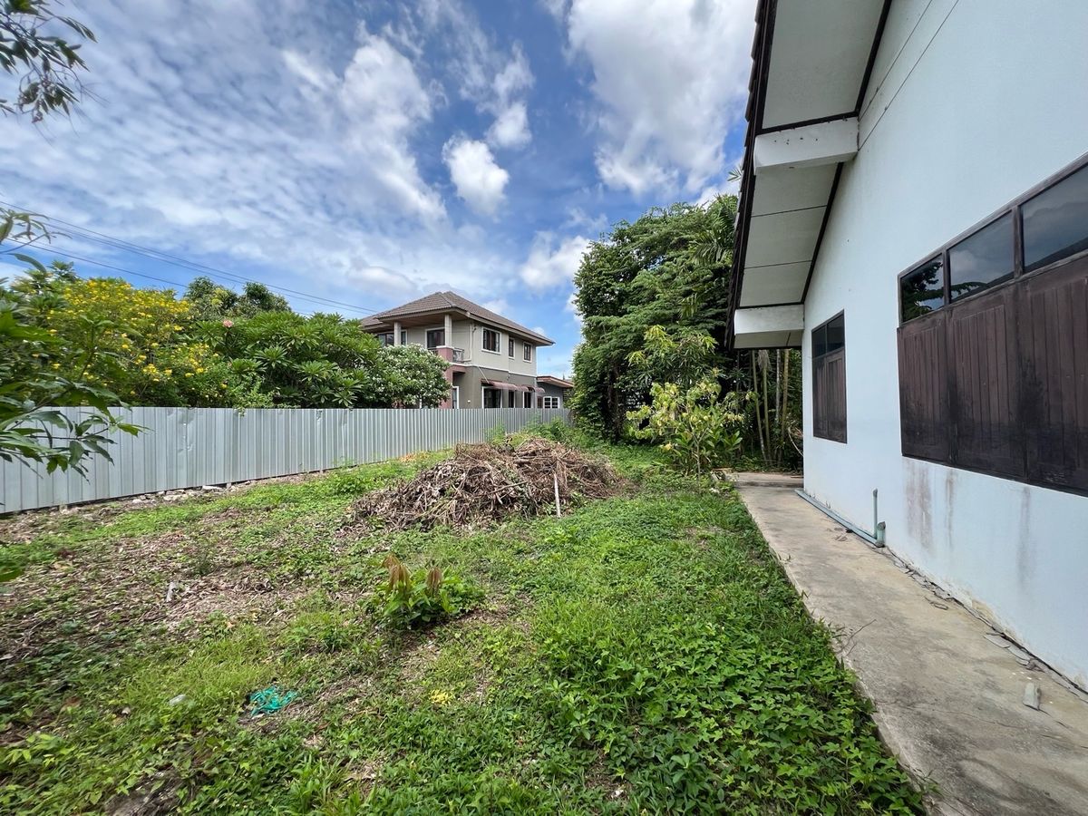 ขายที่ดินนครปฐม : [For Sale] 🌟 ขายที่ดิน 2 ไร่ ใจกลางนครปฐม เหมาะซื้ออยู่เอง ลงทุน หรือพัฒนาโครงการ เดินทางสะดวก ใกล้กรุงเทพฯ 🌟