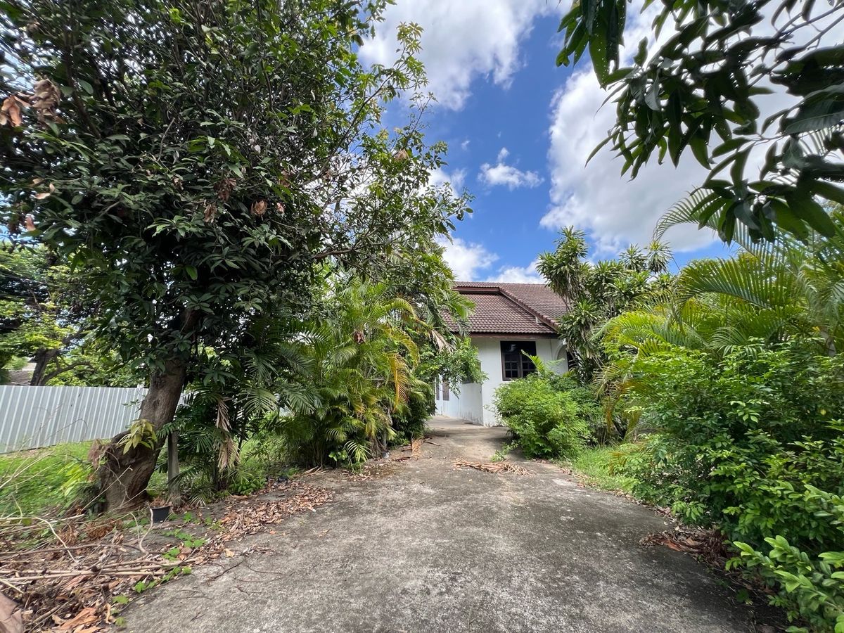 ขายที่ดินนครปฐม : [For Sale] 🌟 ขายที่ดิน 2 ไร่ ใจกลางนครปฐม เหมาะซื้ออยู่เอง ลงทุน หรือพัฒนาโครงการ เดินทางสะดวก ใกล้กรุงเทพฯ 🌟