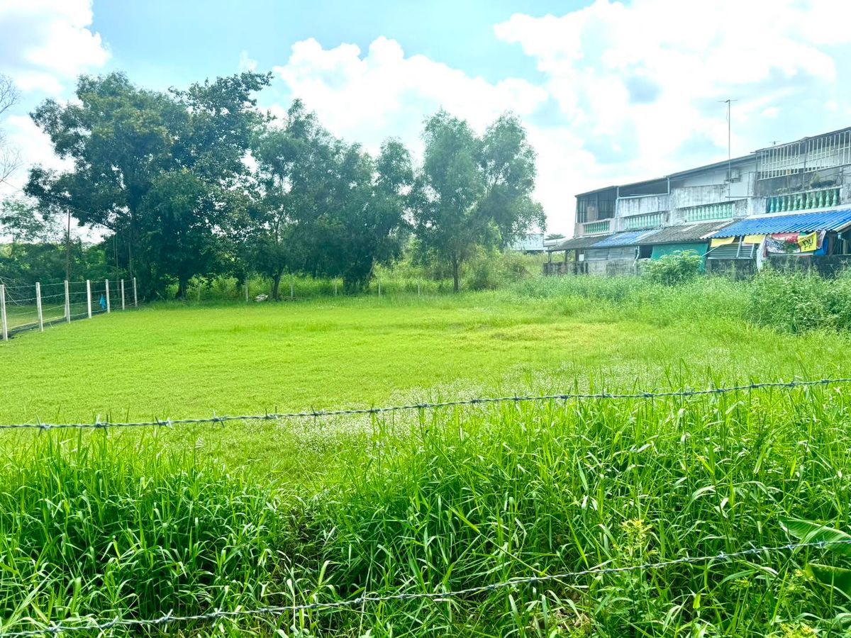 ขายที่ดินปทุมธานี รังสิต ธรรมศาสตร์ : ที่ดินเปล่า หมู่บ้าน ฟีนิกซ์ ปาร์ค ซอยไอยรา 28