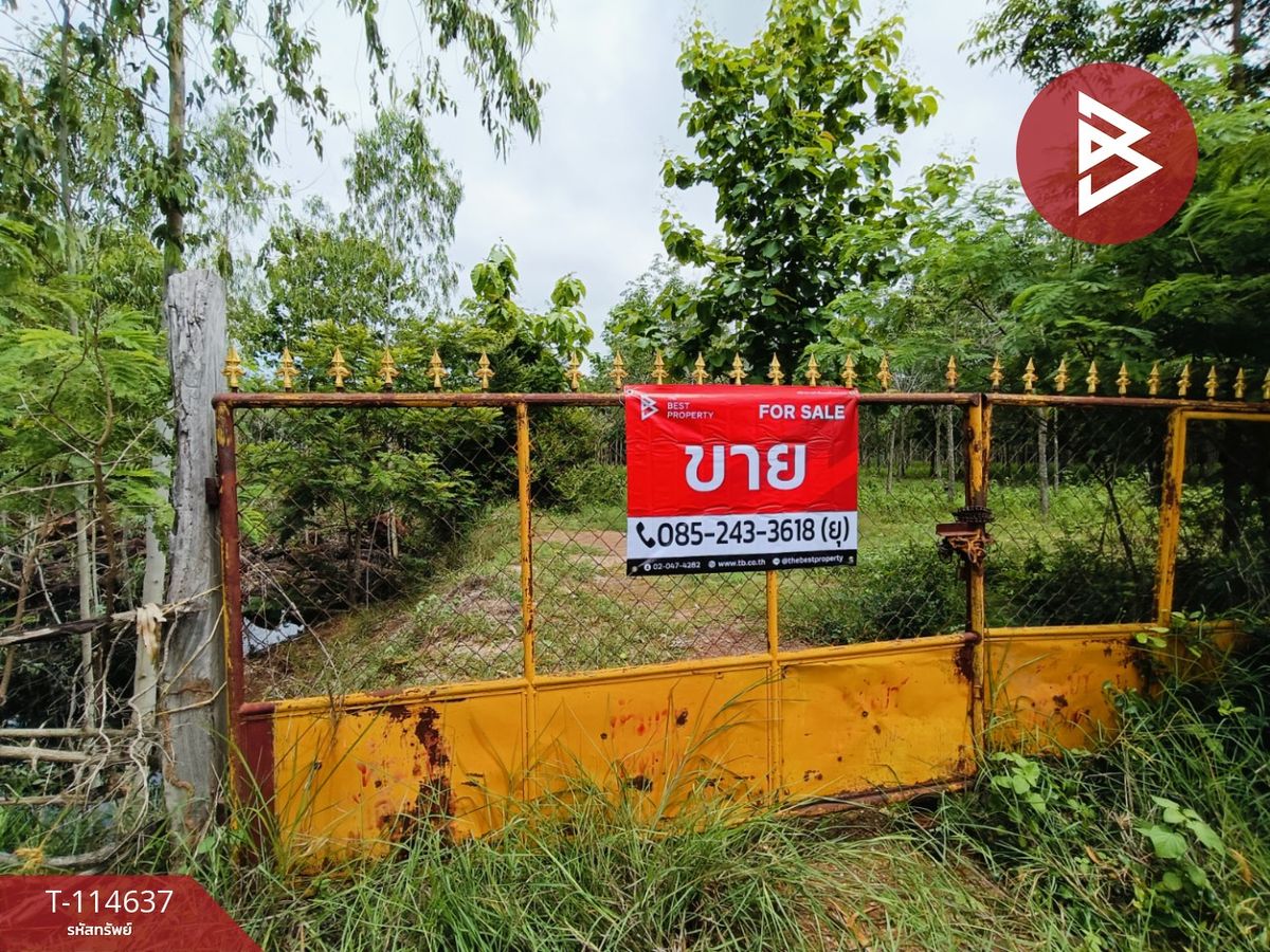 ขายที่ดินกาฬสินธุ์ : ขายที่ดิน เนื้อที่ 21 ไร่ 3 งาน 52 ตร.วา ยางตลาด กาฬสินธุ์