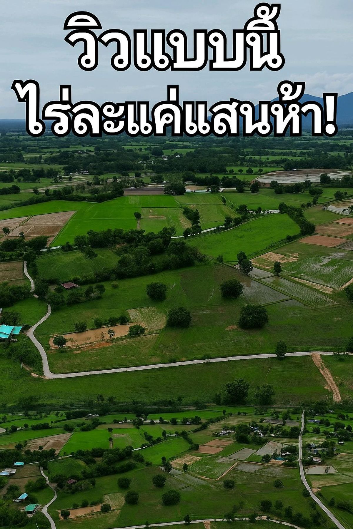 ขายที่ดินอุทัยธานี : 💥 ที่ดินถูกสุดในอุทัย! ไร่ละ 1.5 แสน | Best Land Deal 🇹🇭