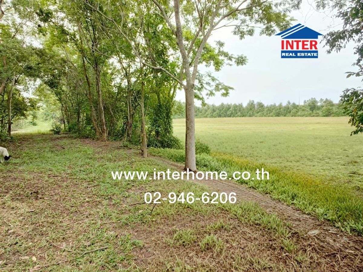 ขายที่ดินนครนายก : ที่ดินเปล่า 19 ไร่ 184 ตร.ว. ที่ดิน ใกล้วัดสันตยาราม นครนายก ถนนโครงการศาลาประชาธิปไตย-เขาน้อย ถนนรังสิต-นครนายก เมืองนครนายก นครนายก