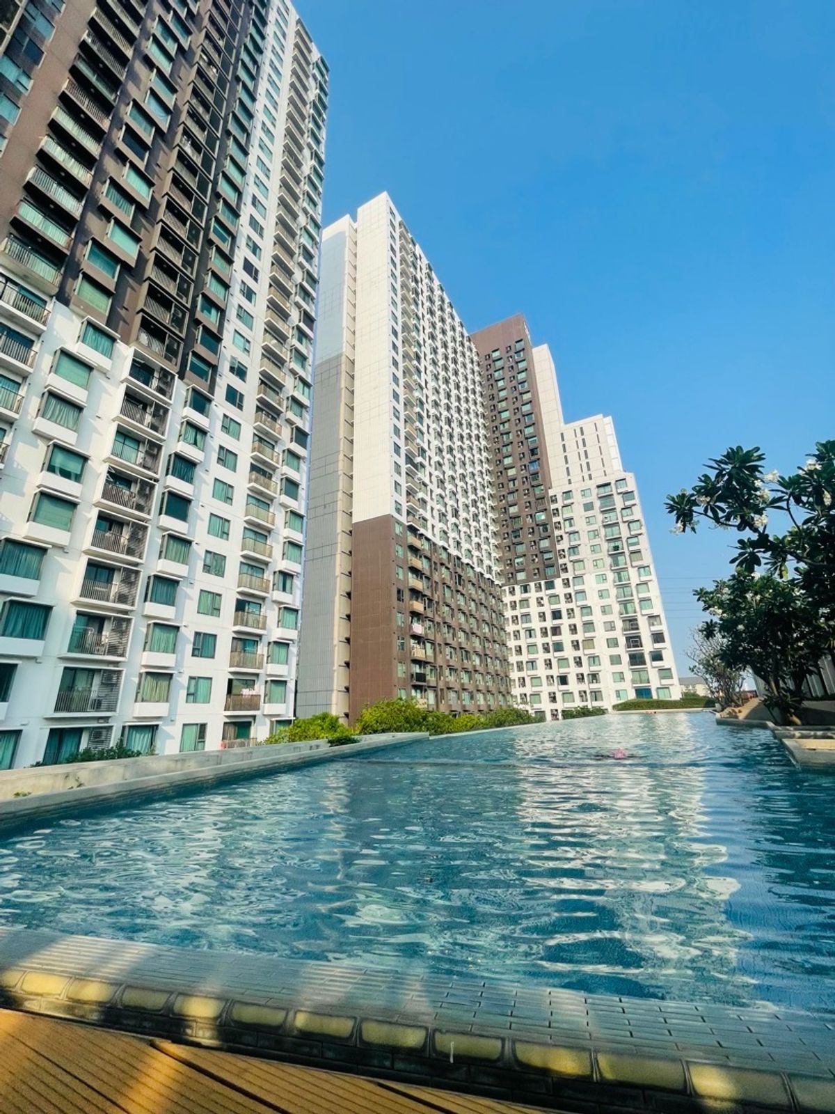 ให้เช่าคอนโดรามคำแหง หัวหมาก : คอนโดให้เช่าใกล้ Arl Ramkhamhaeng