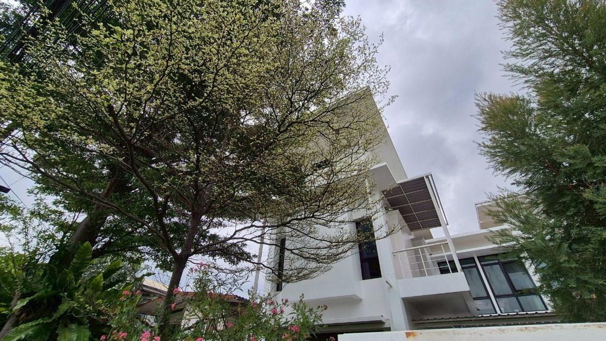 ขายบ้านเกษตรศาสตร์ รัชโยธิน : ขายบ้านเดี่ยว 2 ช้ัน ซอยลาดพร้าววังหิน 52